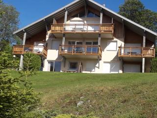 Les Adrets - Gérardmer - 5