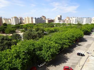 SALINAS CENTRO - PLAYA DE GANDIA - 9
