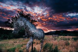 Sierra Meadows - 4