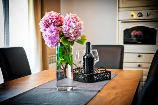 Apartment Miral - Rovinjsko Selo - 4