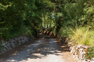 Coolcormack Stud B&B - Waterford - 6