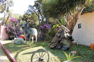 Pousada Juriti - Eco Hotel - São Roque - 5