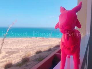 Apart. Playa La Barca - Costa Calma - 3