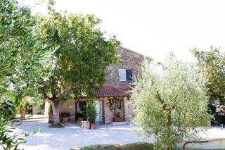 La Bacaia - Marciano Della Chiana - 6