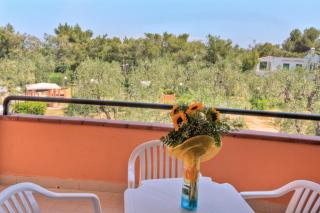 Hotel Palme Gemelle - Vieste - 7