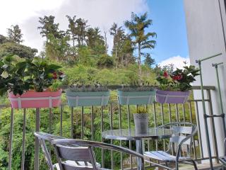 Cameron Forest Home - Golden Hills - Cameron Highlands - 1