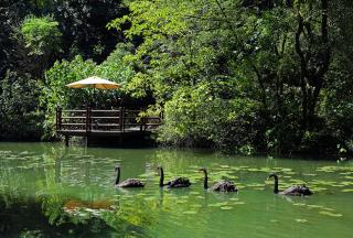 Hangzhou Rose Garden Resort & Spa - 8