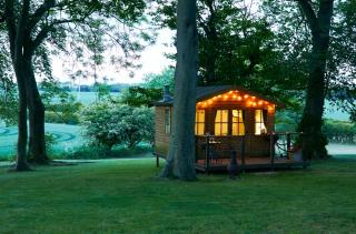 Dale Farm Holidays - Hunmanby - 9