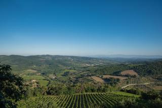 Castellinuzza - Greve in Chianti - 4
