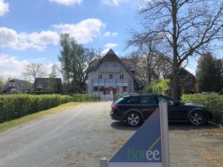 Darsskrabbe - Prerow - 7