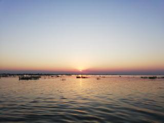 L.M. - Sulina - 0