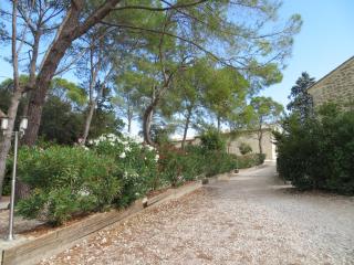 Les Studios-Hôtel de Sommières - Sommières - 0