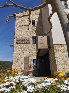 Restaurante y Alojamiento Can Mach - Tapis - 9