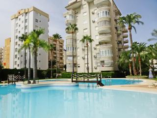 TROPICANA GANDIA - Alquiler sólo Familias - Los Mártires - 3