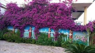 Casa con jardín frente Playa de Burriana - Burriana - 2