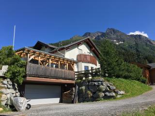 ARLALPIN - Pettneu am Arlberg - 2