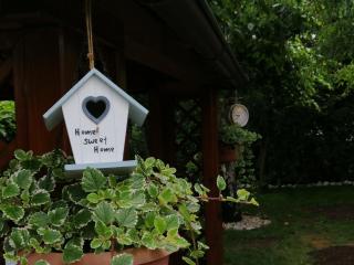 APARTMA CARNICA - Bled - 4