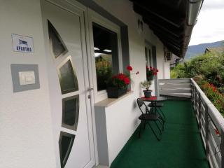 APARTMA CARNICA - Bled - 9