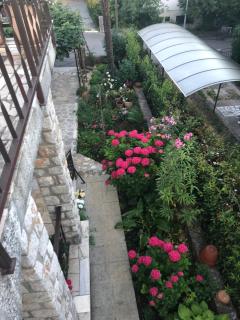 Casa Hortensia - Njivice - 8