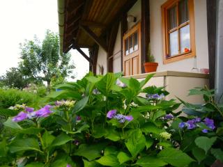 Selanka Off road Hill View - 4