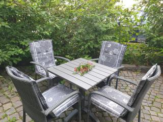 Neu Gemütliche Ferienhaus mit 3 Ferienwohnungen "Max " , " Leonore " und "Beatrice" - Hallenberg - 8