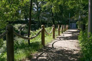 Apartament Golca 1 - Sopot - 6