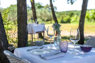 Cardo Boutique&Wine Resort - Málchina - 4