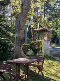 Montville Holiday Apartments - Montville - 4