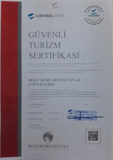 Bolu Koru Hotels Spa & Convention - Yolcatı - 9
