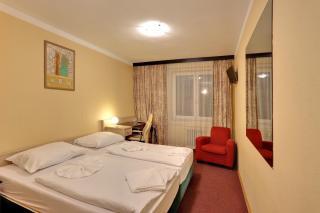 Active & Wellness Hotel Subterra - Ostrov - 8