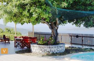 Villa Vigilia Nikiana - 6