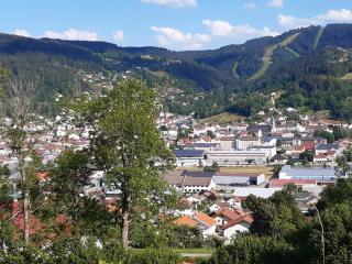 Studio les bleuets - Gérardmer - 1