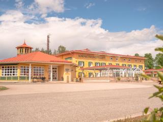 Björkbackens Karaktärshotell - Vimmerby - 9