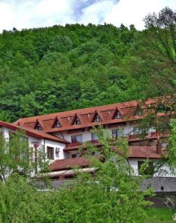 Hotel McPietroasa - Haleş - 0