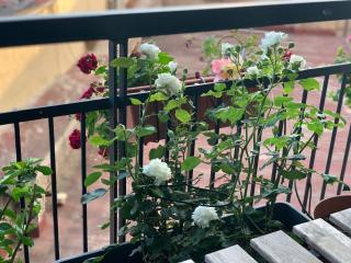 EasyHomeinNaples - Napoli - 6