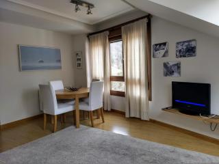 Los Molinos - Atico en Montaña de Asturias - 5