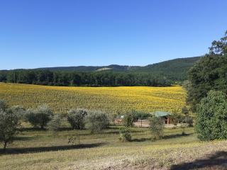 Agriturismo Natura E Salute - San Gimignano - 7