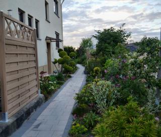 Rhein - Mosel Quartier 4 - Boppard - 6