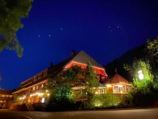 Hotel Hirschen - Menzenschwand - 9