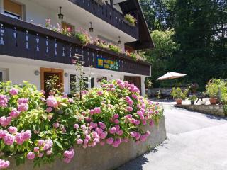 Accommodation Destina, LAKE BOHINJ - Bohinj - 1