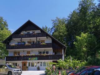 Accommodation Destina, LAKE BOHINJ - Bohinj - 5
