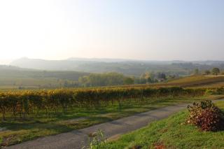 Agriturismo Cascina del Rosone - Agliano Terme - 5