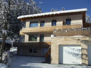 Transylvania Villa & Spa - Gosau - 7
