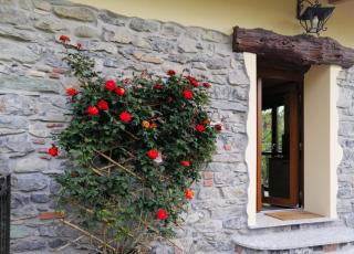 COTTAGE ROSE - Bellagio - 5