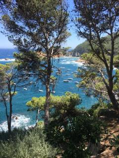 Cap Sa Sal Navy, Begur, Girona - Begur - 9