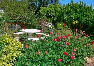 Casa Elena Turismo Rural - 5