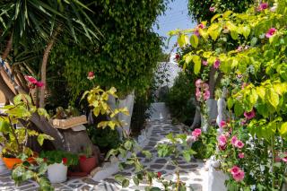 Ricos Two Bedroom House - Naoussa Paros - 7