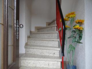Haus Marlene - Zell an der Mosel - 6