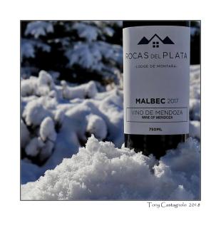 Lodge Rocas Del Plata - 5