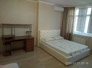 Люкс апартаменты на Позняках - Kiev - 7